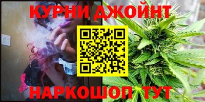 mdpv Заводоуковск
