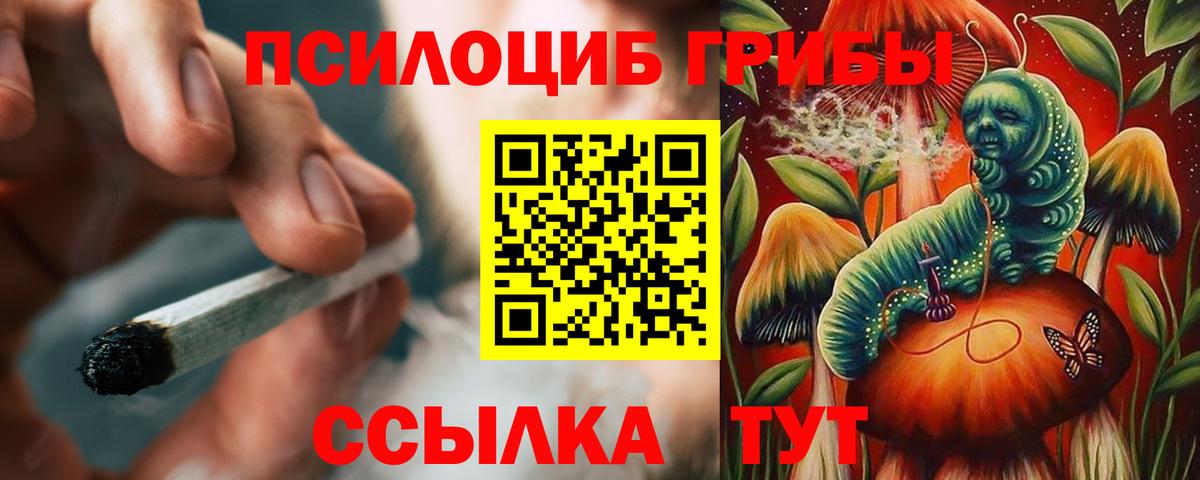 Рузаевка  Галлюциногенные грибы Psilocybine cubensis  Вход с VPN 